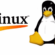 png-transparent-linux-from-scratch-training-lxc-operating-systems-linux-logo-vertebrate-bird